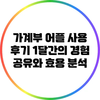 가계부 어플 사용 후기: 1달간의 경험 공유와 효용 분석