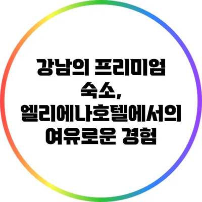 강남의 프리미엄 숙소, 엘리에나호텔에서의 여유로운 경험