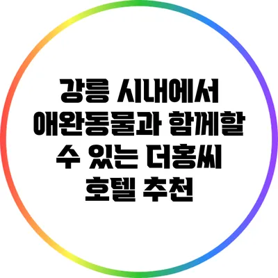 강릉 시내에서 애완동물과 함께할 수 있는 더홍씨 호텔 추천