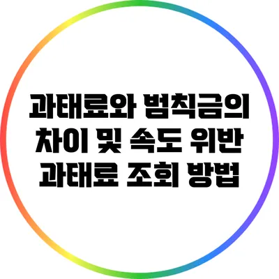 과태료와 범칙금의 차이 및 속도 위반 과태료 조회 방법