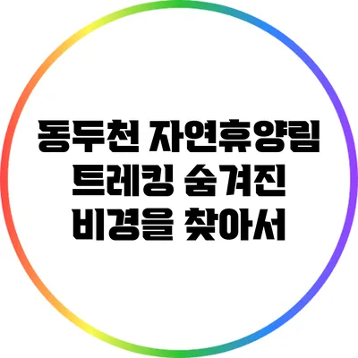 동두천 자연휴양림 트레킹: 숨겨진 비경을 찾아서