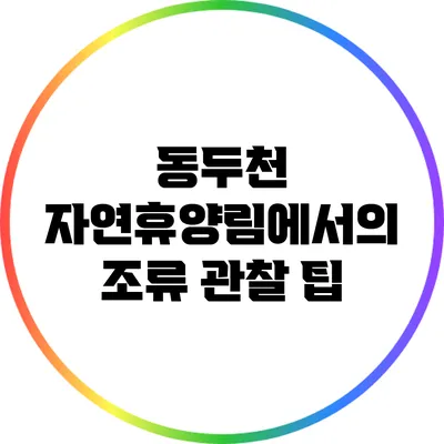 동두천 자연휴양림에서의 조류 관찰 팁
