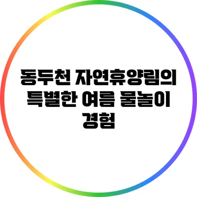 동두천 자연휴양림의 특별한 여름 물놀이 경험
