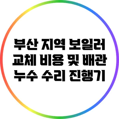 부산 지역 보일러 교체 비용 및 배관 누수 수리 진행기