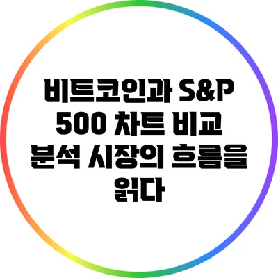 비트코인과 S&P 500 차트 비교 분석: 시장의 흐름을 읽다