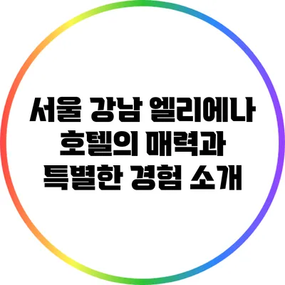 서울 강남 엘리에나 호텔의 매력과 특별한 경험 소개