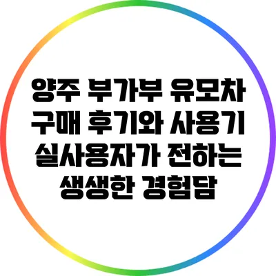 양주 부가부 유모차 구매 후기와 사용기: 실사용자가 전하는 생생한 경험담