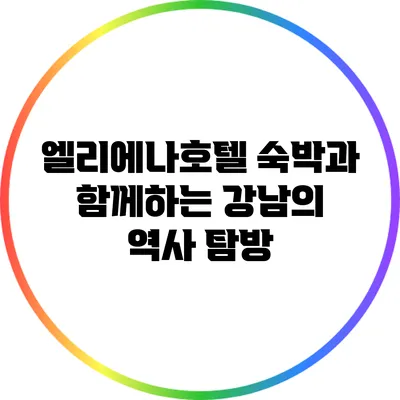 엘리에나호텔 숙박과 함께하는 강남의 역사 탐방