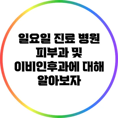 일요일 진료 병원: 피부과 및 이비인후과에 대해 알아보자