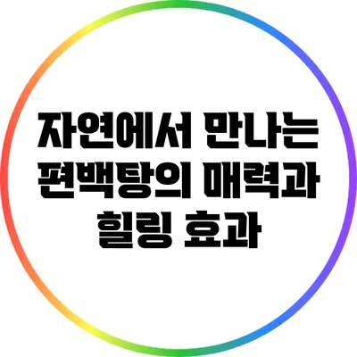 자연에서 만나는 편백탕의 매력과 힐링 효과