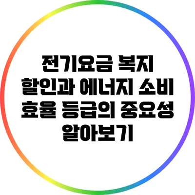 전기요금 복지 할인과 에너지 소비 효율 등급의 중요성 알아보기