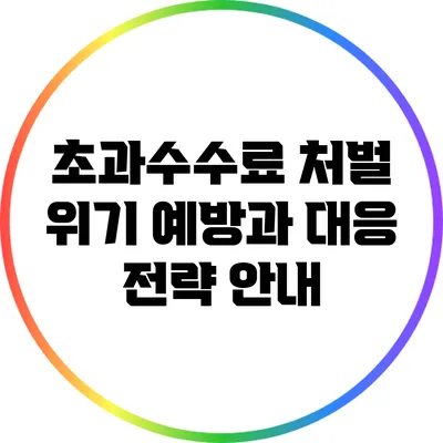 초과수수료 처벌 위기: 예방과 대응 전략 안내