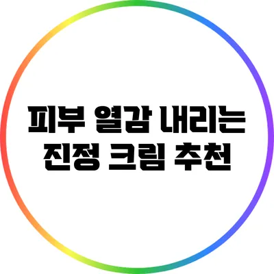 피부 열감 내리는 진정 크림 추천