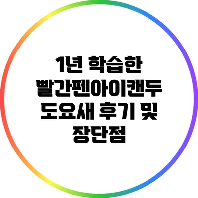 1년 학습한 빨간펜아이캔두 도요새 후기 및 장단점