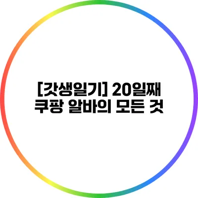 [갓생일기] 20일째 쿠팡 알바의 모든 것