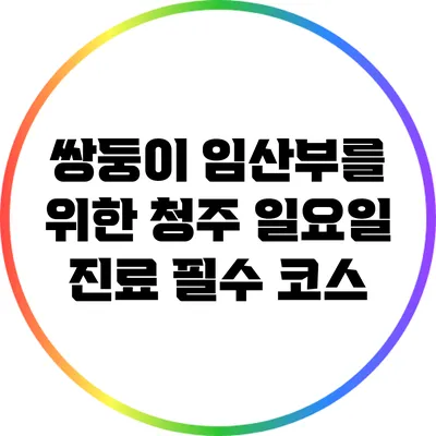 쌍둥이 임산부를 위한 청주 일요일 진료 필수 코스