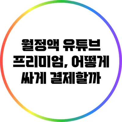 월정액 유튜브 프리미엄, 어떻게 싸게 결제할까?