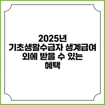 2025년 기초생활수급자 생계급여 외에 받을 수 있는 혜택