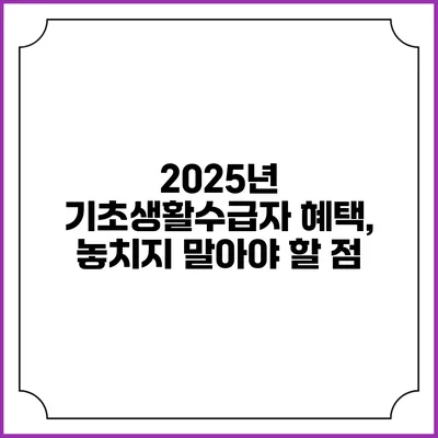 2025년 기초생활수급자 혜택, 놓치지 말아야 할 점
