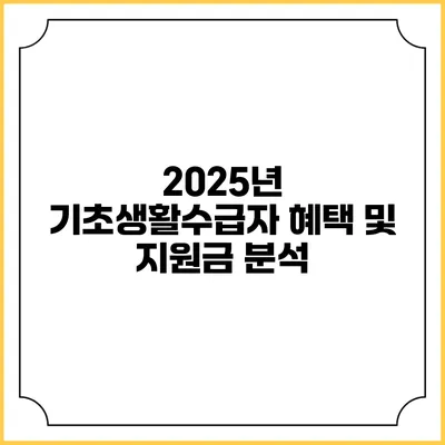 2025년 기초생활수급자 혜택 및 지원금 분석