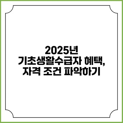 2025년 기초생활수급자 혜택, 자격 조건 파악하기