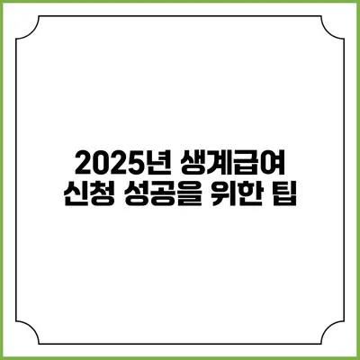 2025년 생계급여 신청 성공을 위한 팁