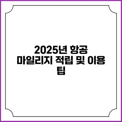 2025년 항공 마일리지 적립 및 이용 팁