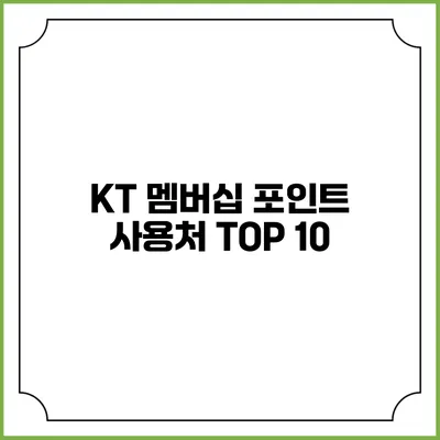 KT 멤버십 포인트 사용처 TOP 10