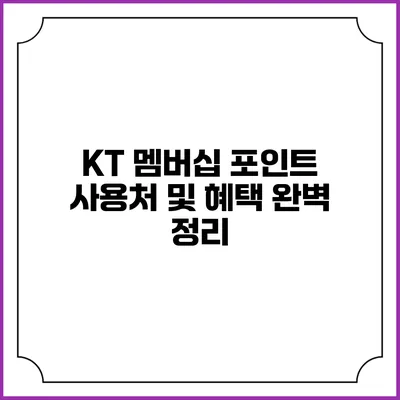 KT 멤버십 포인트 사용처 및 혜택 완벽 정리