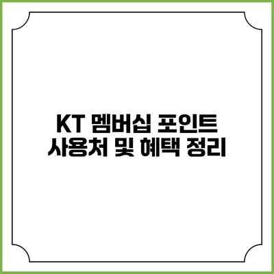 KT 멤버십 포인트 사용처 및 혜택 정리