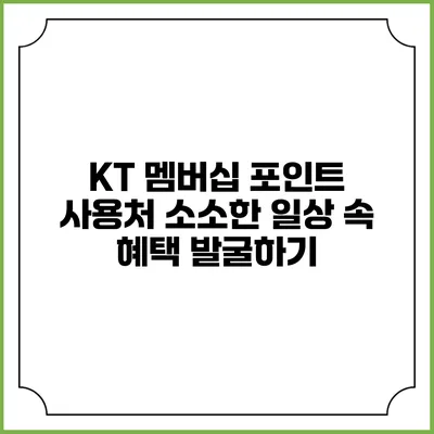 KT 멤버십 포인트 사용처 소소한 일상 속 혜택 발굴하기