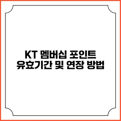 KT 멤버십 포인트 유효기간 및 연장 방법