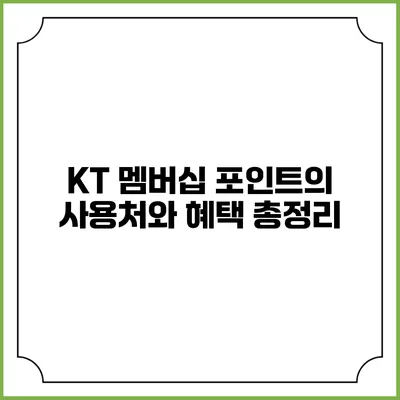 KT 멤버십 포인트의 사용처와 혜택 총정리