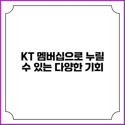 KT 멤버십으로 누릴 수 있는 다양한 기회