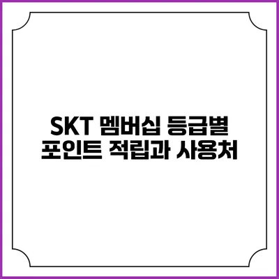 SKT 멤버십 등급별 포인트 적립과 사용처