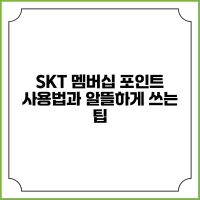 SKT 멤버십 포인트 사용법과 알뜰하게 쓰는 팁