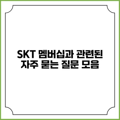 SKT 멤버십과 관련된 자주 묻는 질문 모음