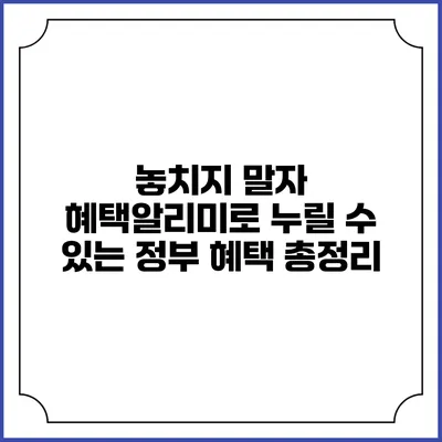 놓치지 말자 혜택알리미로 누릴 수 있는 정부 혜택 총정리