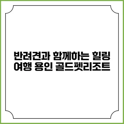 반려견과 함께하는 힐링 여행: 용인 골드펫리조트