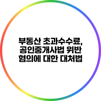부동산 초과수수료, 공인중개사법 위반 혐의에 대한 대처법
