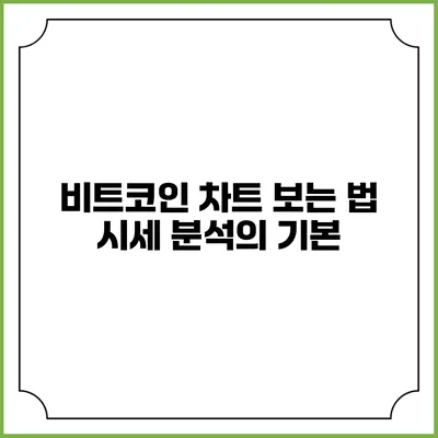 비트코인 차트 보는 법: 시세 분석의 기본