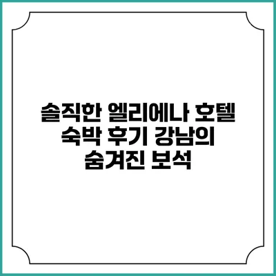 솔직한 엘리에나 호텔 숙박 후기: 강남의 숨겨진 보석