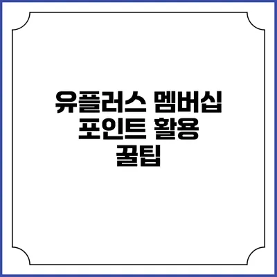 유플러스 멤버십 포인트 활용 꿀팁