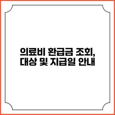 의료비 환급금 조회, 대상 및 지급일 안내