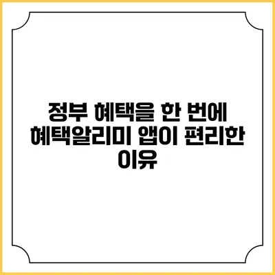 정부 혜택을 한 번에 혜택알리미 앱이 편리한 이유
