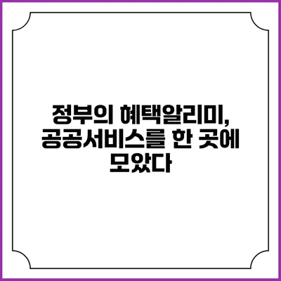 정부의 혜택알리미, 공공서비스를 한 곳에 모았다
