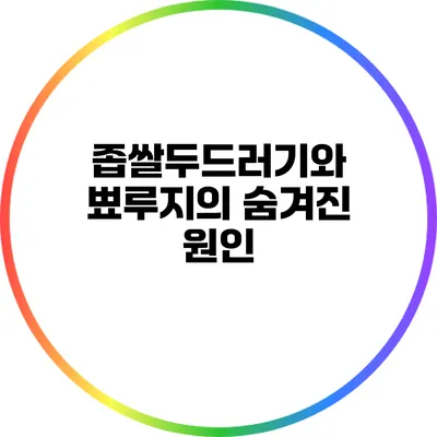 좁쌀두드러기와 뾰루지의 숨겨진 원인