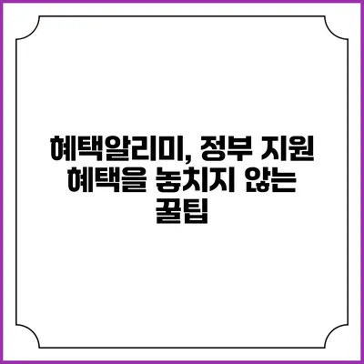 혜택알리미, 정부 지원 혜택을 놓치지 않는 꿀팁