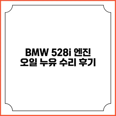 BMW 528i 엔진 오일 누유 수리 후기