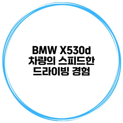 BMW X530d 차량의 스피드한 드라이빙 경험